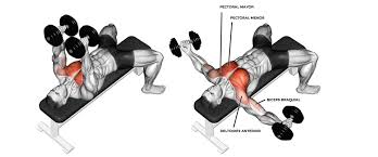 Aperturas con Mancuernas