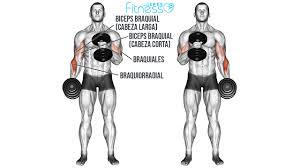 Curl Martillo con Mancuernas