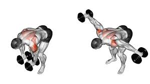 Pájaros con Mancuernas