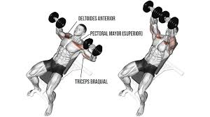 Press de Banca Inclinado